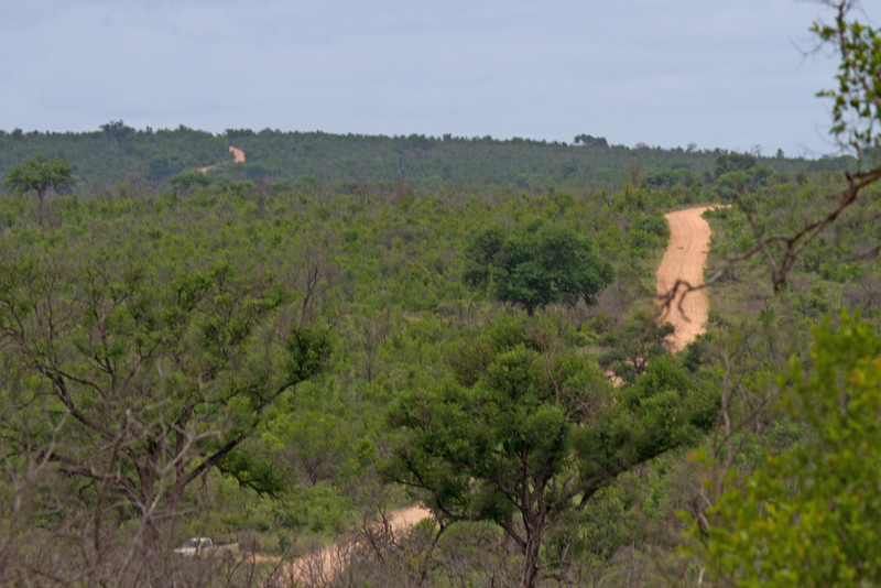 Kruger Roads